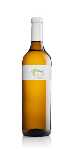 Muscat - Cave Ardevaz 2023