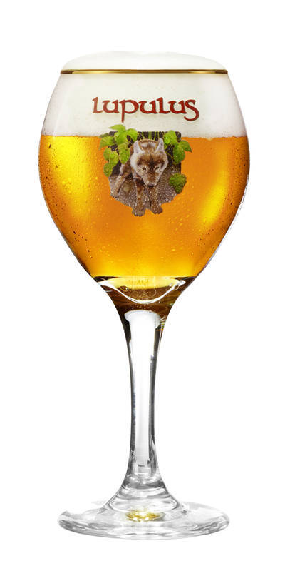 Verre Lupulus 25cl