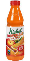 Michel Bodyguard Pet