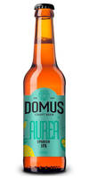 Domus Aurea 