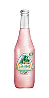Jarritos Guava